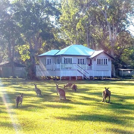 Lake Weyba Noosa Lodge & Kangaroos Peregian Beach Eksteriør bilde