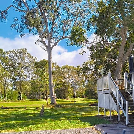 Lake Weyba Noosa Lodge & Kangaroos Peregian Beach Eksteriør bilde