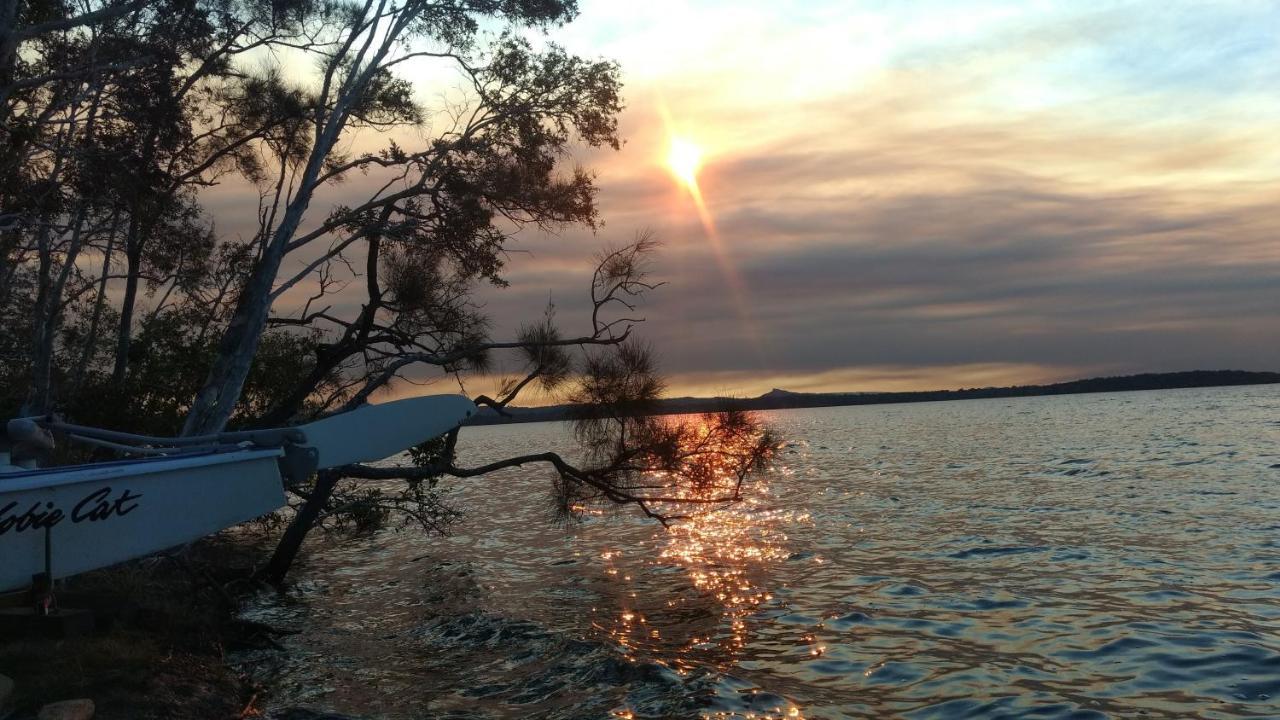 Lake Weyba Noosa Lodge & Kangaroos Peregian Beach Eksteriør bilde