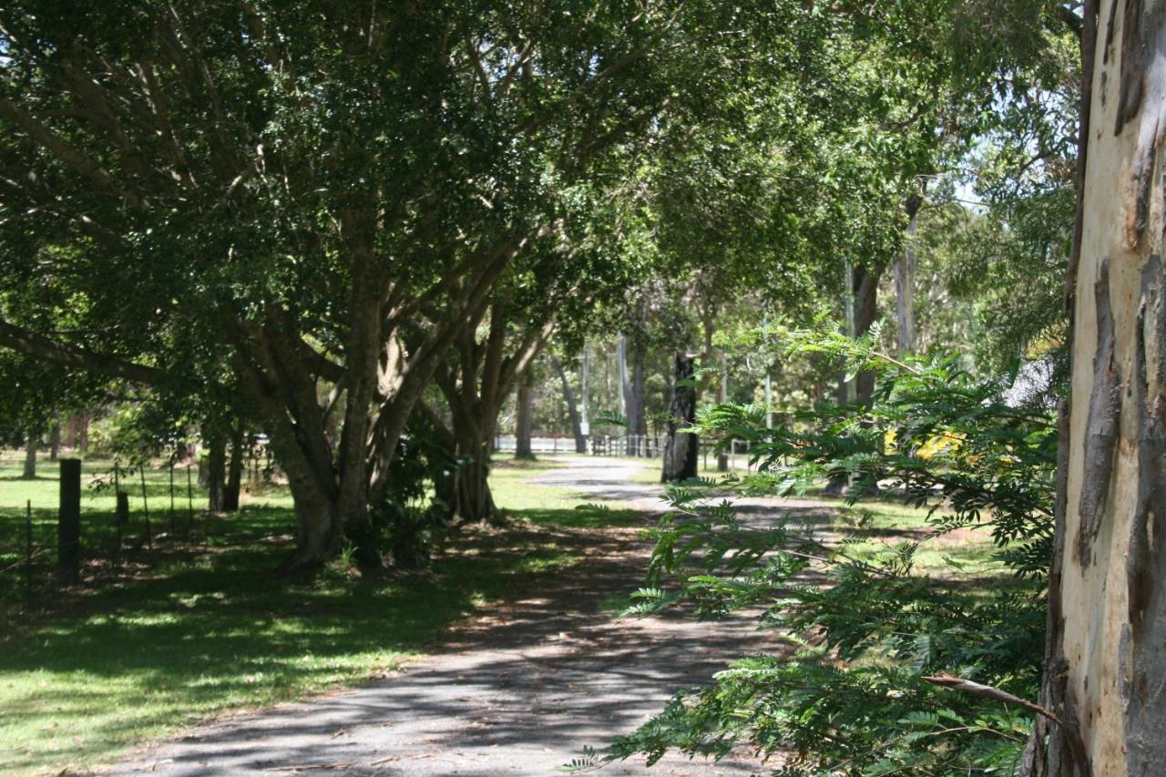 Lake Weyba Noosa Lodge & Kangaroos Peregian Beach Eksteriør bilde