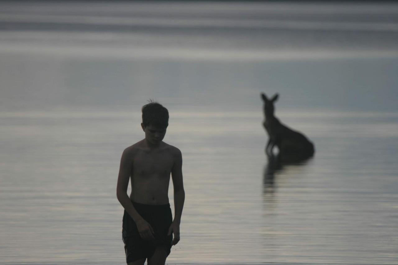 Lake Weyba Noosa Lodge & Kangaroos Peregian Beach Eksteriør bilde