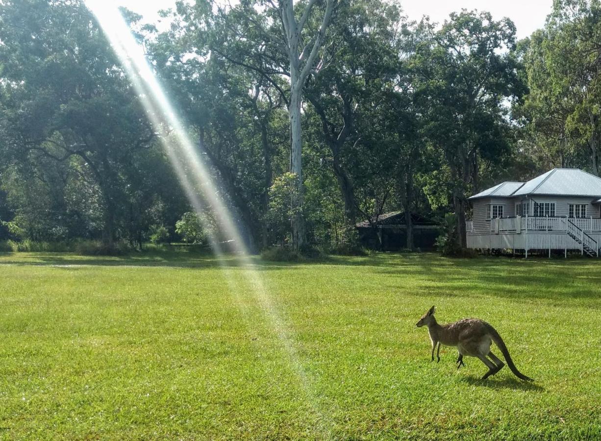 Lake Weyba Noosa Lodge & Kangaroos Peregian Beach Eksteriør bilde