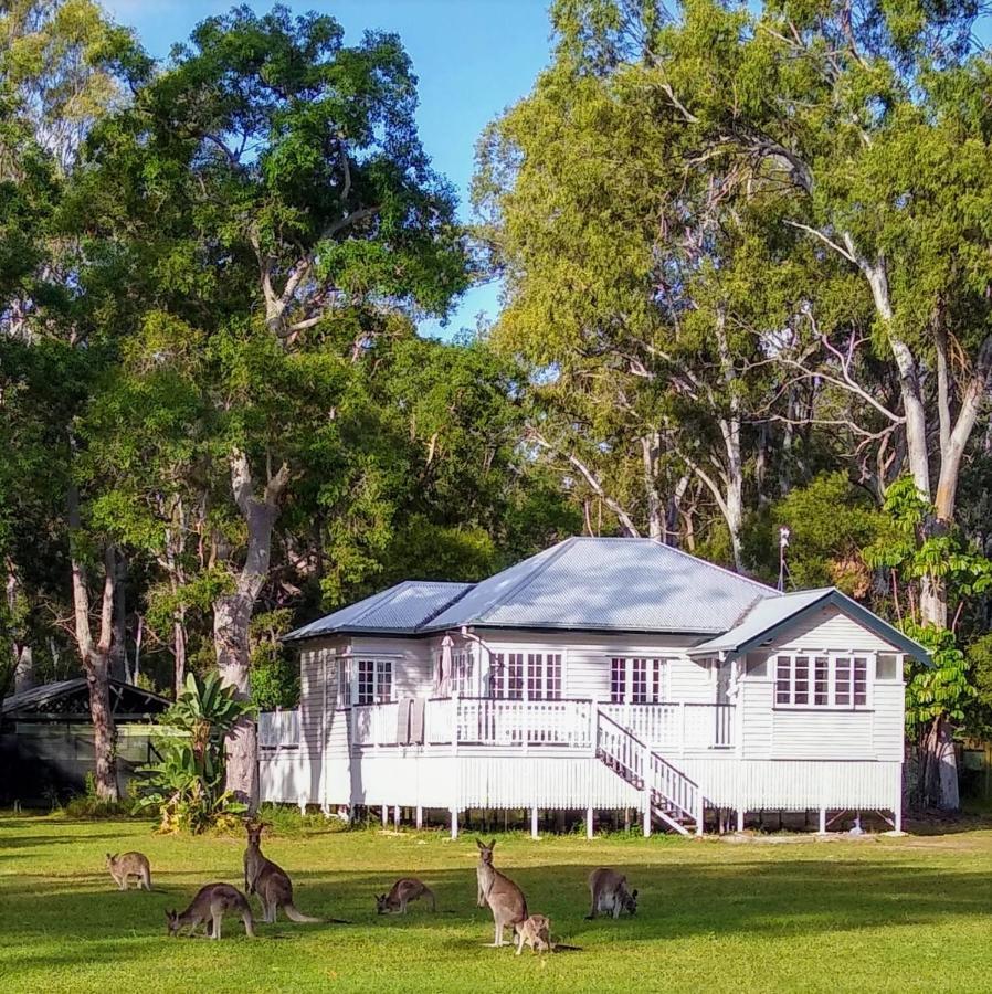 Lake Weyba Noosa Lodge & Kangaroos Peregian Beach Eksteriør bilde