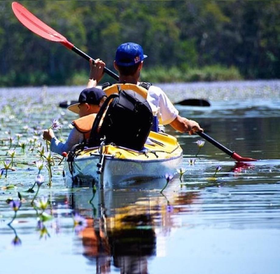 Lake Weyba Noosa Lodge & Kangaroos Peregian Beach Eksteriør bilde