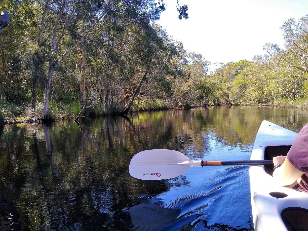 Lake Weyba Noosa Lodge & Kangaroos Peregian Beach Eksteriør bilde