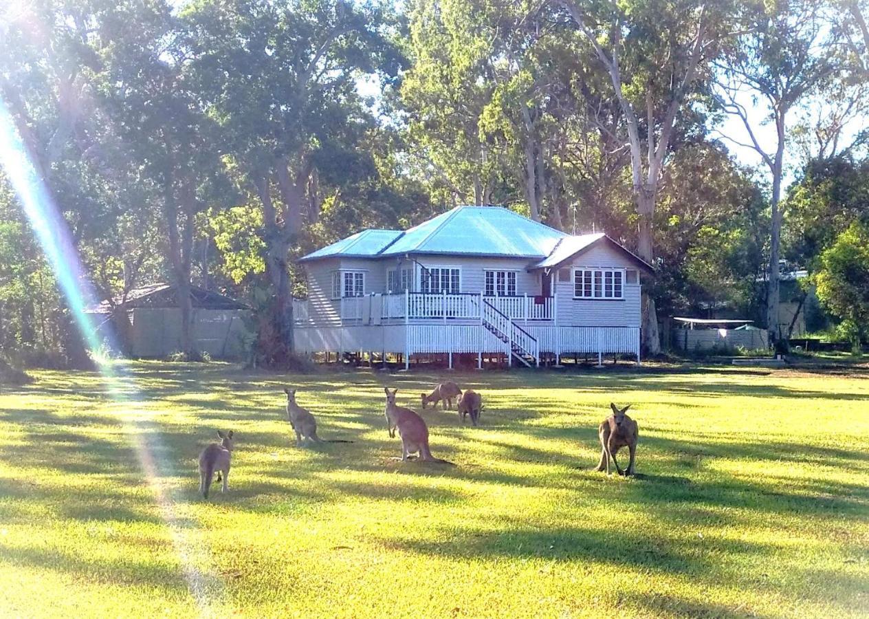 Lake Weyba Noosa Lodge & Kangaroos Peregian Beach Eksteriør bilde