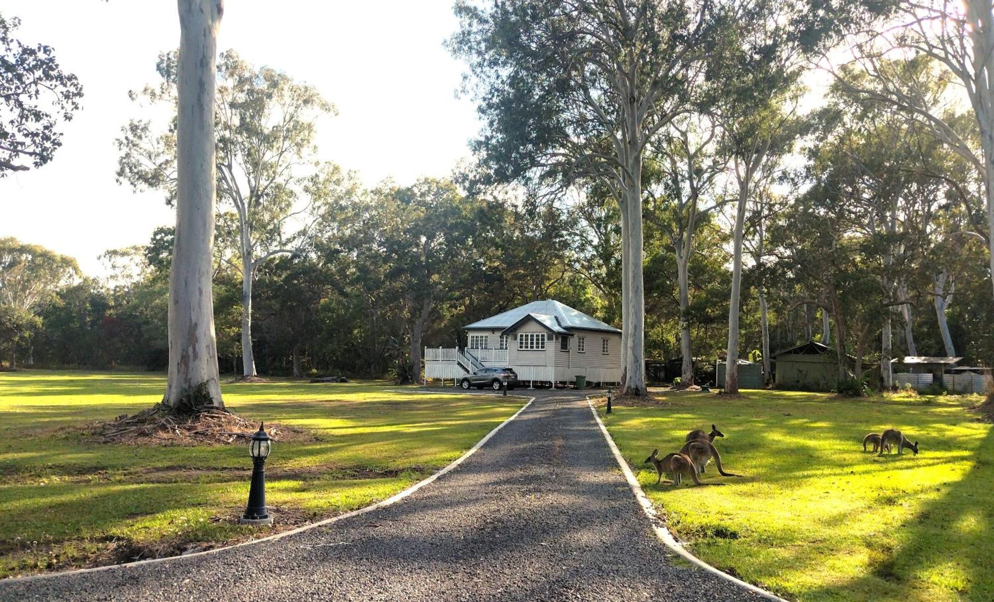 Lake Weyba Noosa Lodge & Kangaroos Peregian Beach Eksteriør bilde