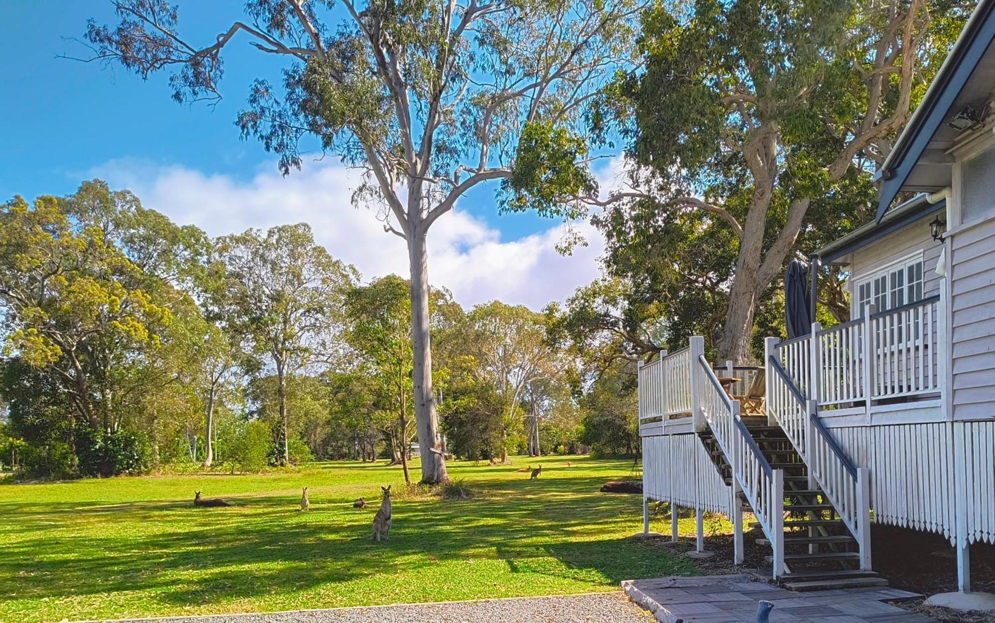 Lake Weyba Noosa Lodge & Kangaroos Peregian Beach Eksteriør bilde