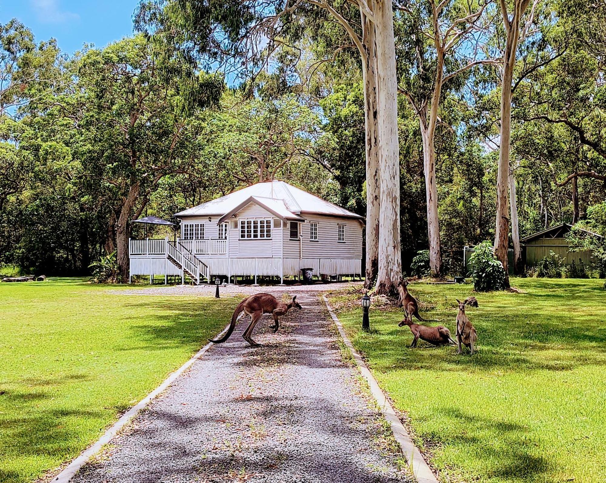 Lake Weyba Noosa Lodge & Kangaroos Peregian Beach Eksteriør bilde